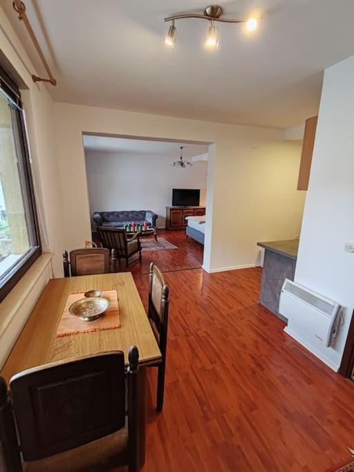 Apartment Artcool With Garden And Garage