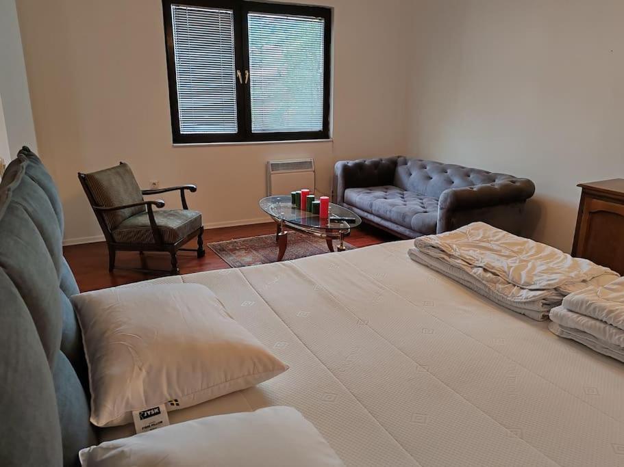 Apartment Artcool With Garden And Garage